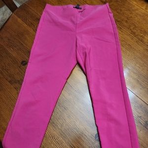 Hot pink Adrianna Papell capri